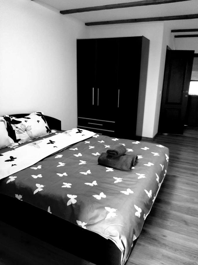 Casa De Vacanta Sadu Bagian luar foto